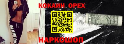 дмт Гусев