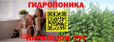 дмт Гусев